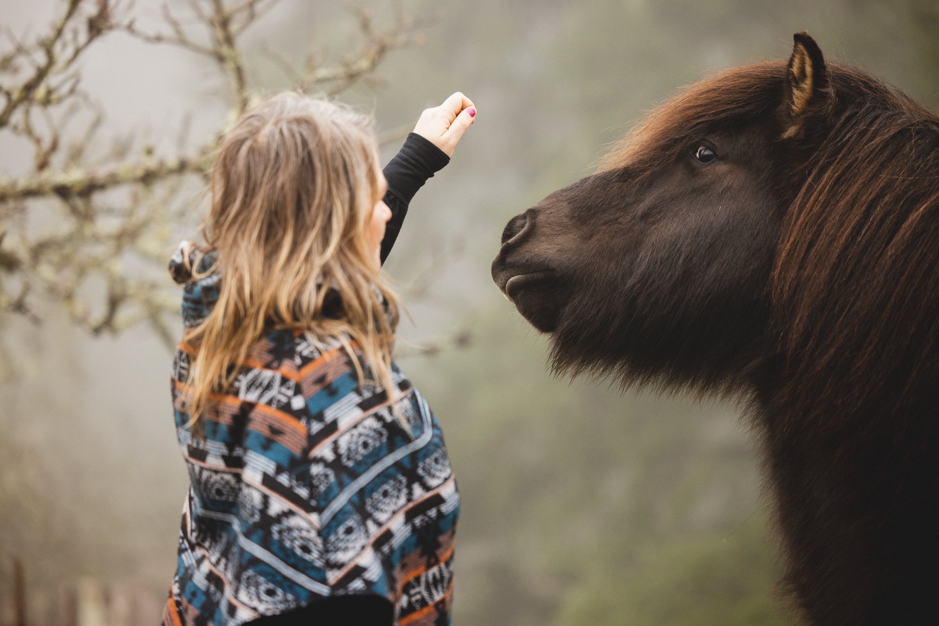 Sacred Horses_24.01.23-0022.jpg